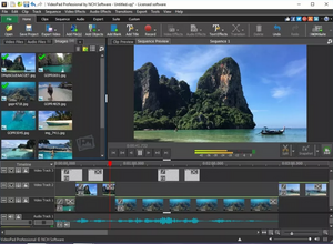 VideoPad Video Editor Masters Edition AVI , MPEG editor Edit Video